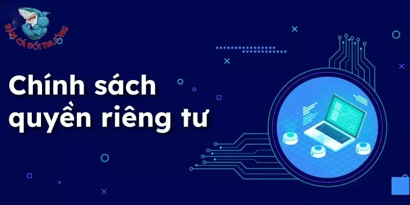 Nghĩa vụ của nền tảng đối với quyền riêng tư của người chơi