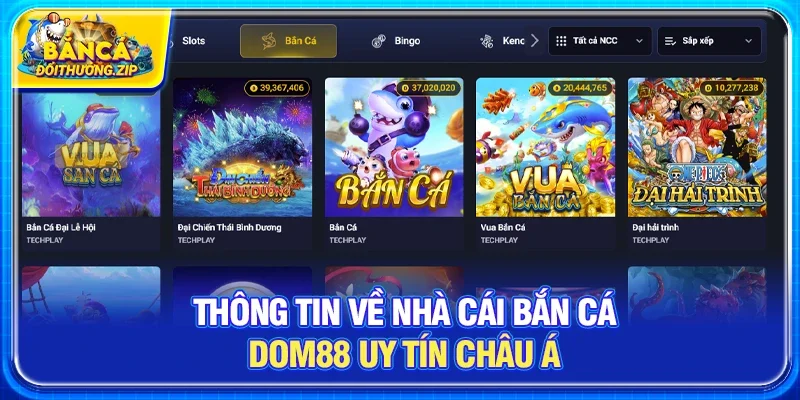 Thông tin về nhà cái bắn cá DOM88 uy tín Châu Á