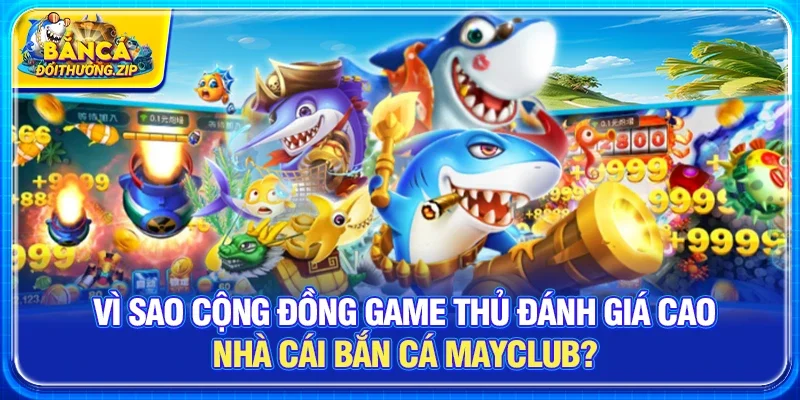 Vì sao cộng đồng game thủ đánh giá cao Nhà cái bắn cá Mayclub?